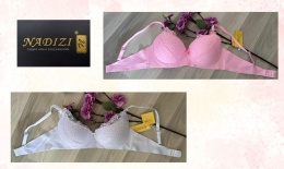 BIUSTONOSZ NADIZI 2452