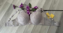 BIUSTONOSZ NADIZI