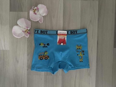 BOKSERKI CHŁOPIĘCE BOKSERKI CHŁOPIĘCE